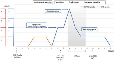 Frontiers Case Report Reversible Punctate Inflammatory Foci In The